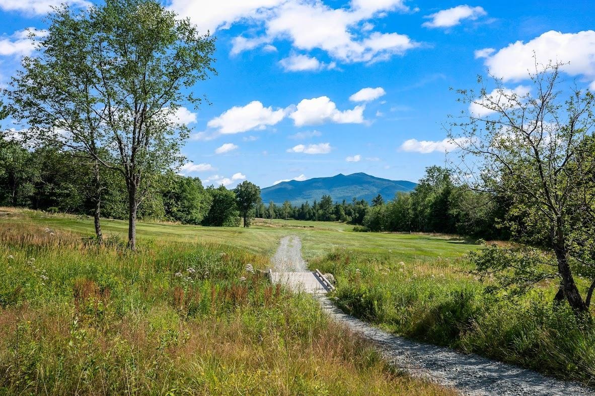 0 Meadows Road, Unit MAP 8 LOT 4C#1 Jefferson, NH 03583 - Photo 22 of 28
