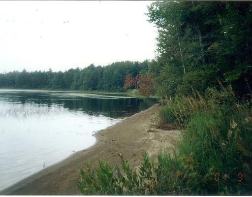 89 Silsby Road Mariaville, ME 04605 - Photo 7 of 10 Land. The shore front is quite...