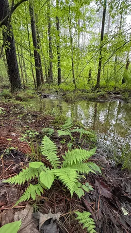 $196,500 | 0 Sullivan Road, Unit LOT 3, Dunlap, TN 37327