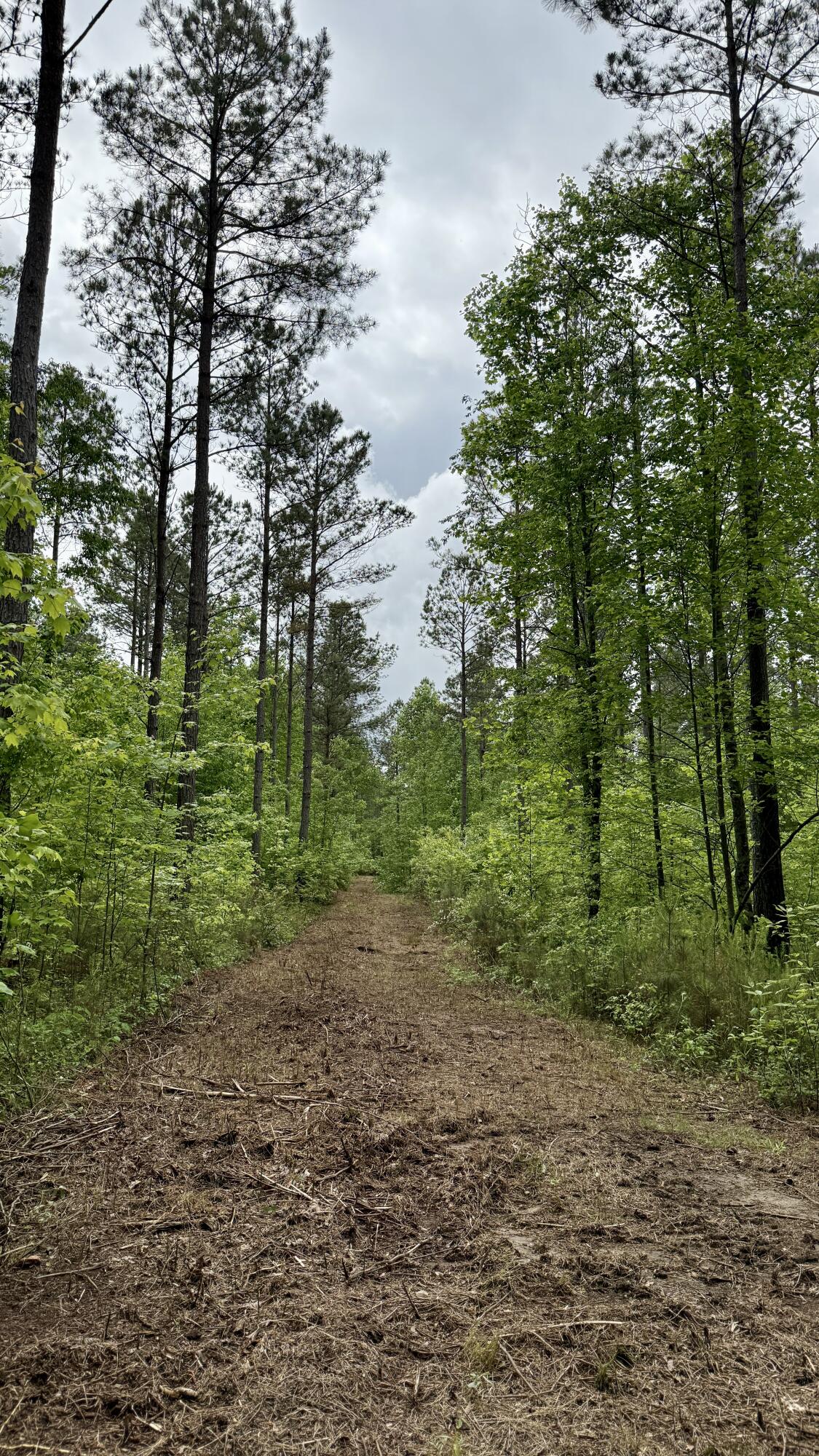 0 Sullivan Road, Unit LOT 3 Dunlap, TN 37327 - Photo 16 of 21 IMG_0948