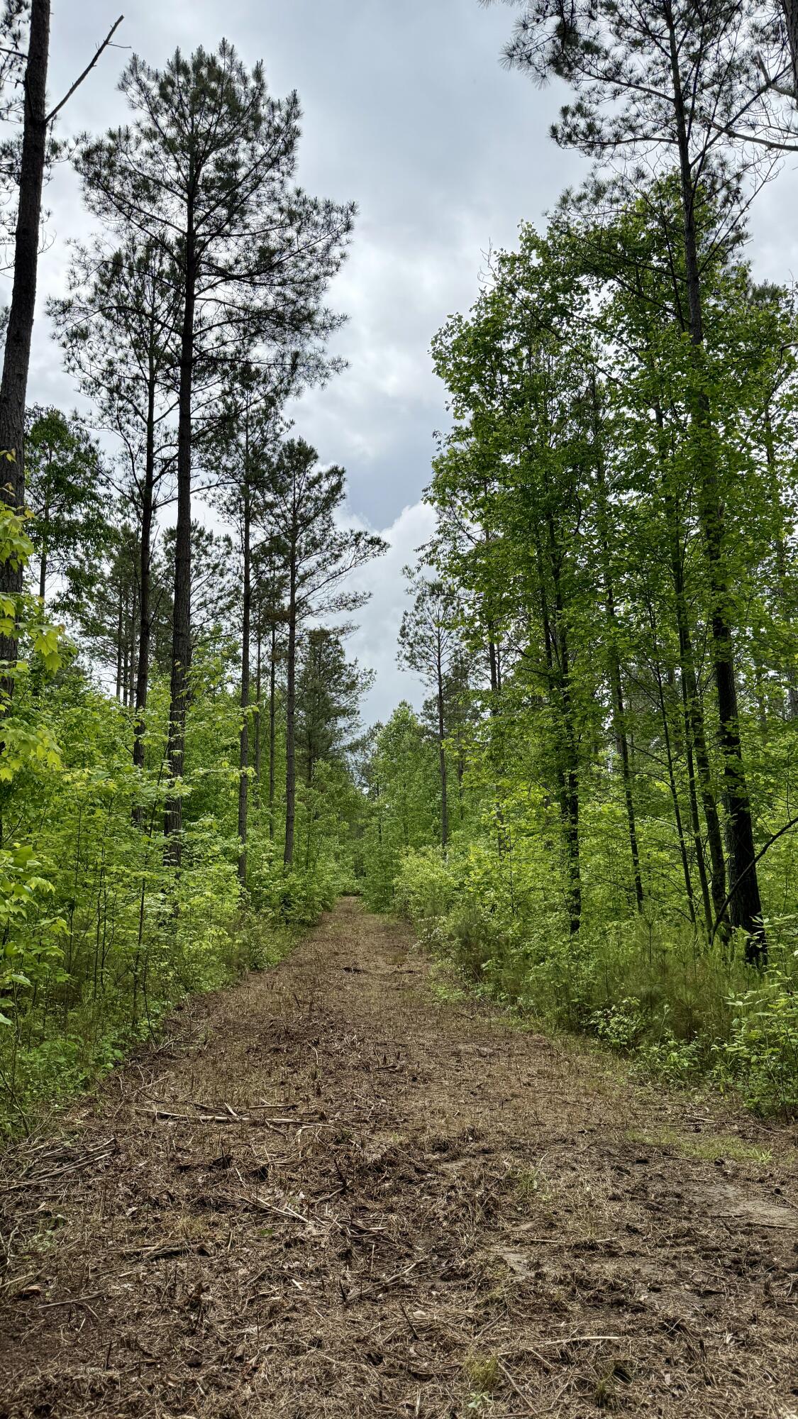 0 Sullivan Road, Unit LOT 3 Dunlap, TN 37327 - Photo 17 of 21 IMG_0947