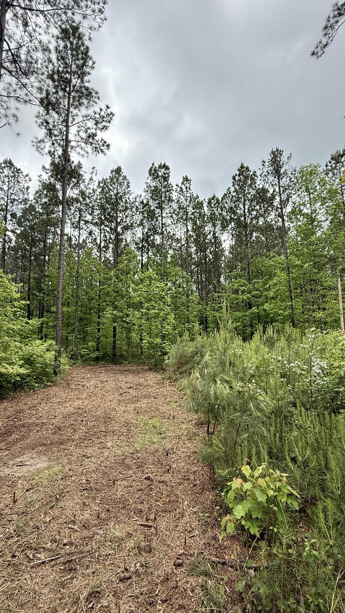 0 Sullivan Road, Unit LOT 3 Dunlap, TN 37327 - Photo 18 of 21 IMG_0954