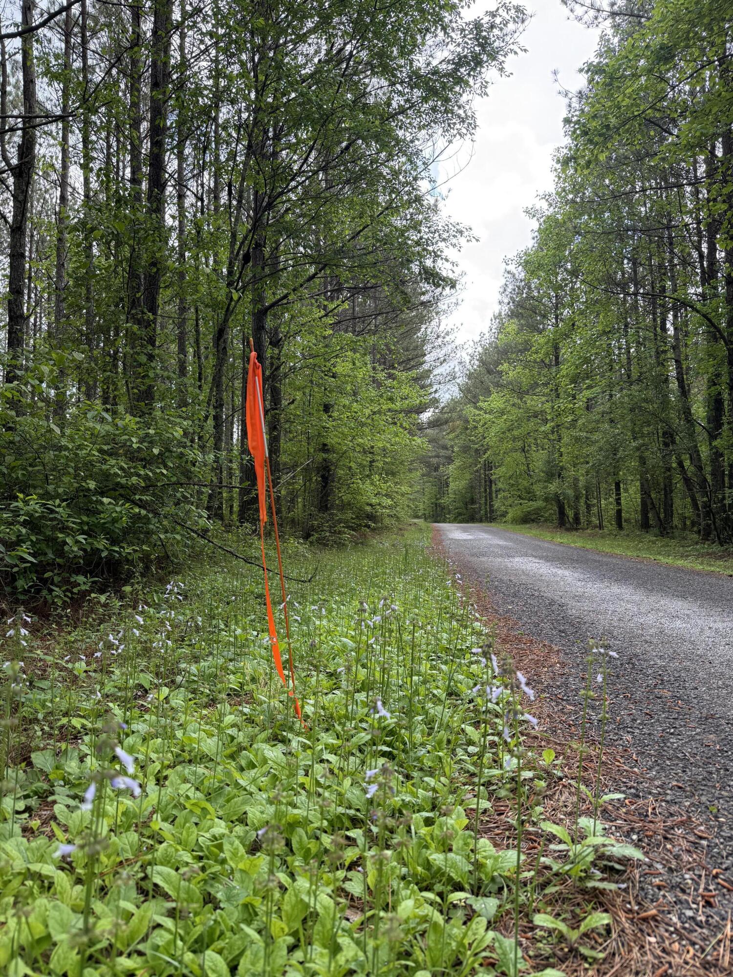 0 Sullivan Road, Unit LOT 3 Dunlap, TN 37327 - Photo 2 of 21 IMG_0850