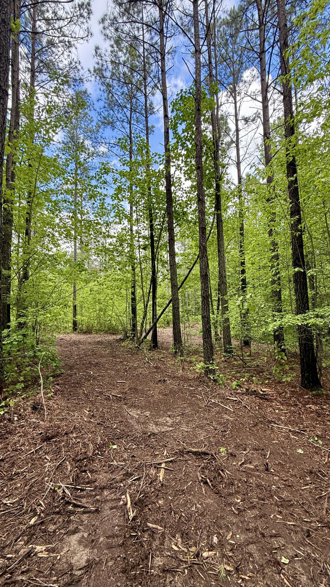 0 Sullivan Road, Unit LOT 3 Dunlap, TN 37327 - Photo 4 of 21 IMG_0928