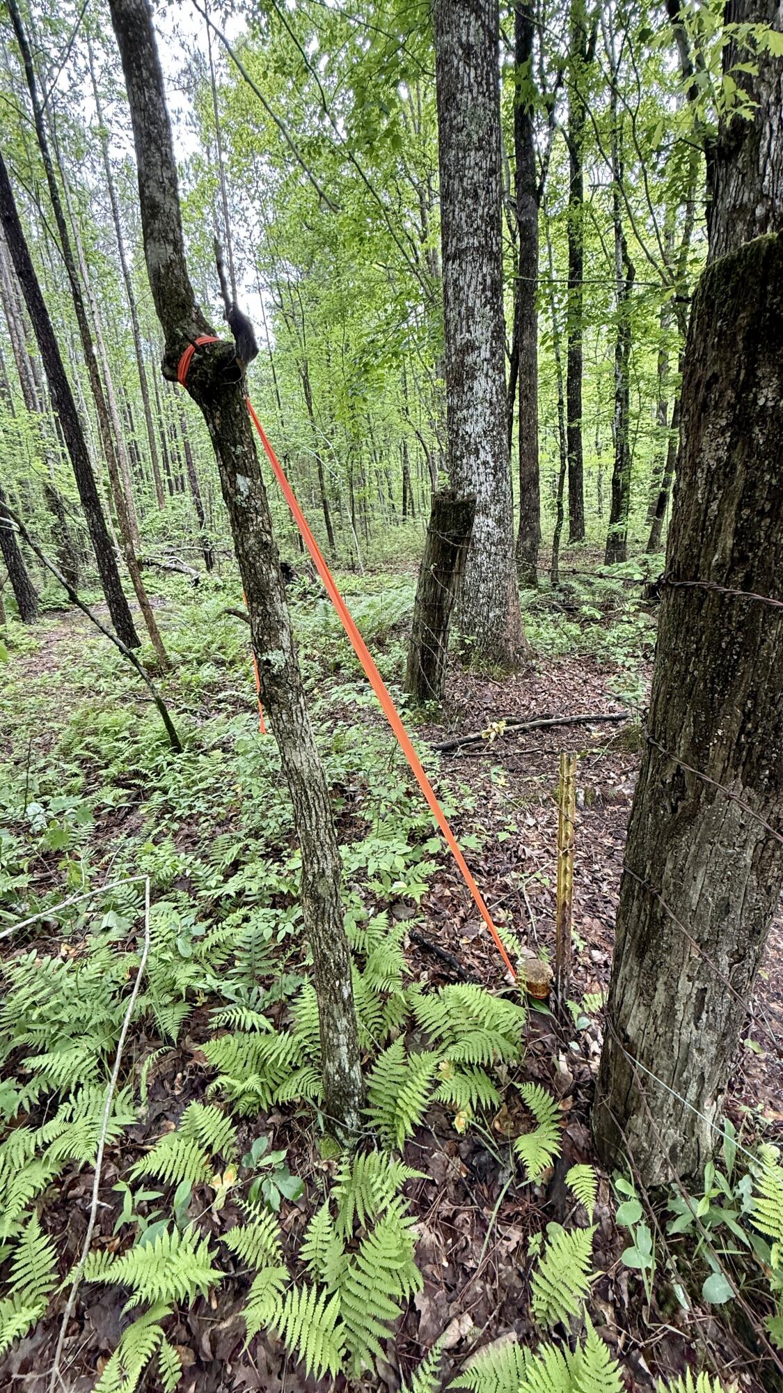 0 Sullivan Road, Unit LOT 3 Dunlap, TN 37327 - Photo 5 of 21 IMG_0929