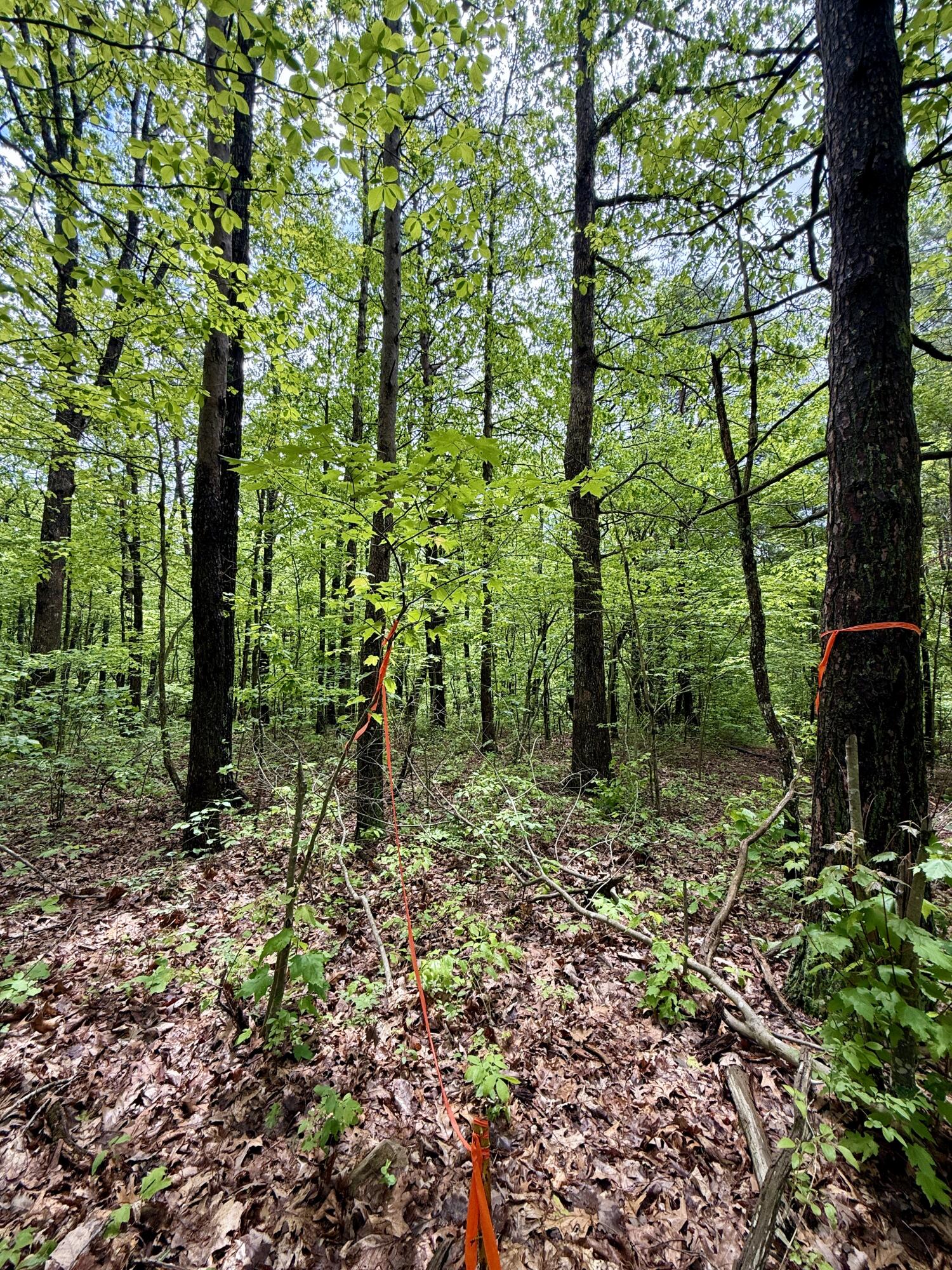 0 Sullivan Road, Unit LOT 3 Dunlap, TN 37327 - Photo 7 of 21 IMG_0931