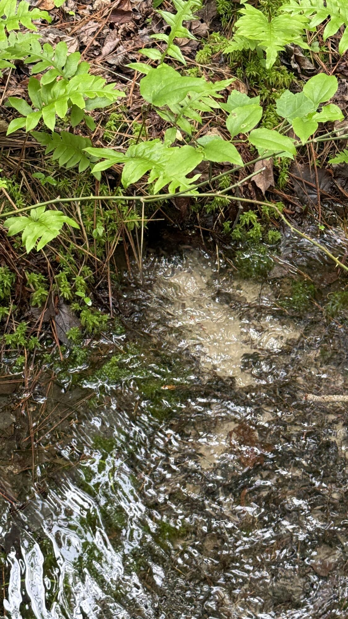 0 Sullivan Road, Unit LOT 3 Dunlap, TN 37327 - Photo 10 of 21 IMG_0936