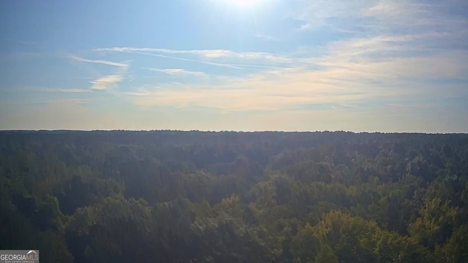 119 Hough Johnson Road Haddock, GA 31033 - Photo 12 of 12 Tree tops of the property