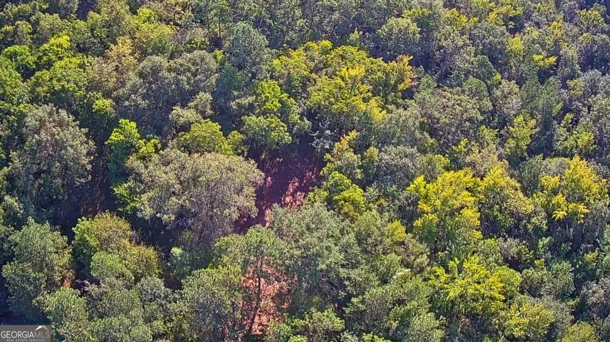 119 Hough Johnson Road Haddock, GA 31033 - Photo 2 of 12 7.5 Acres of Land for sale in Baldwin County