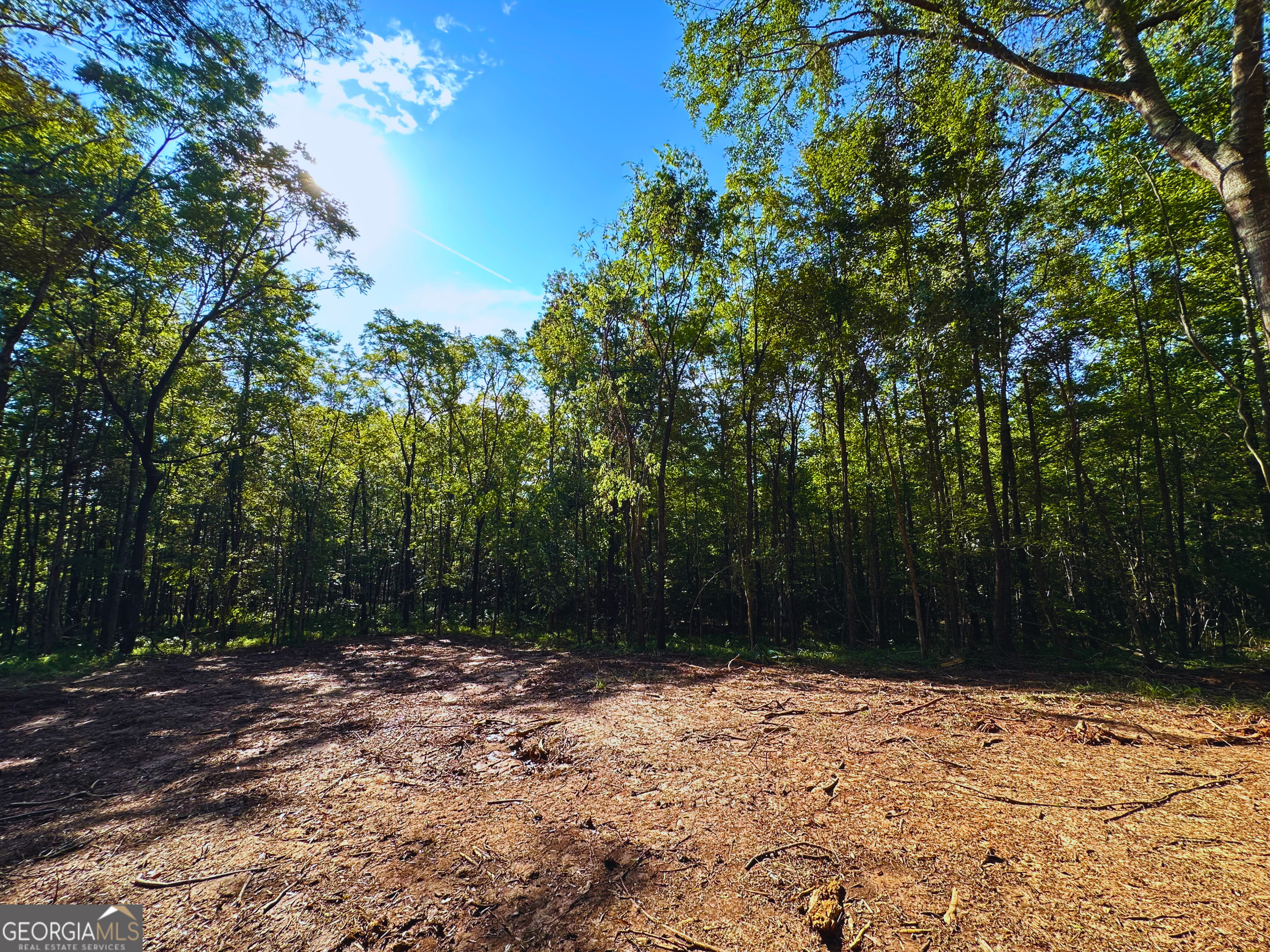 119 Hough Johnson Road Haddock, GA 31033 - Photo 3 of 12 A portion of the land is cleared