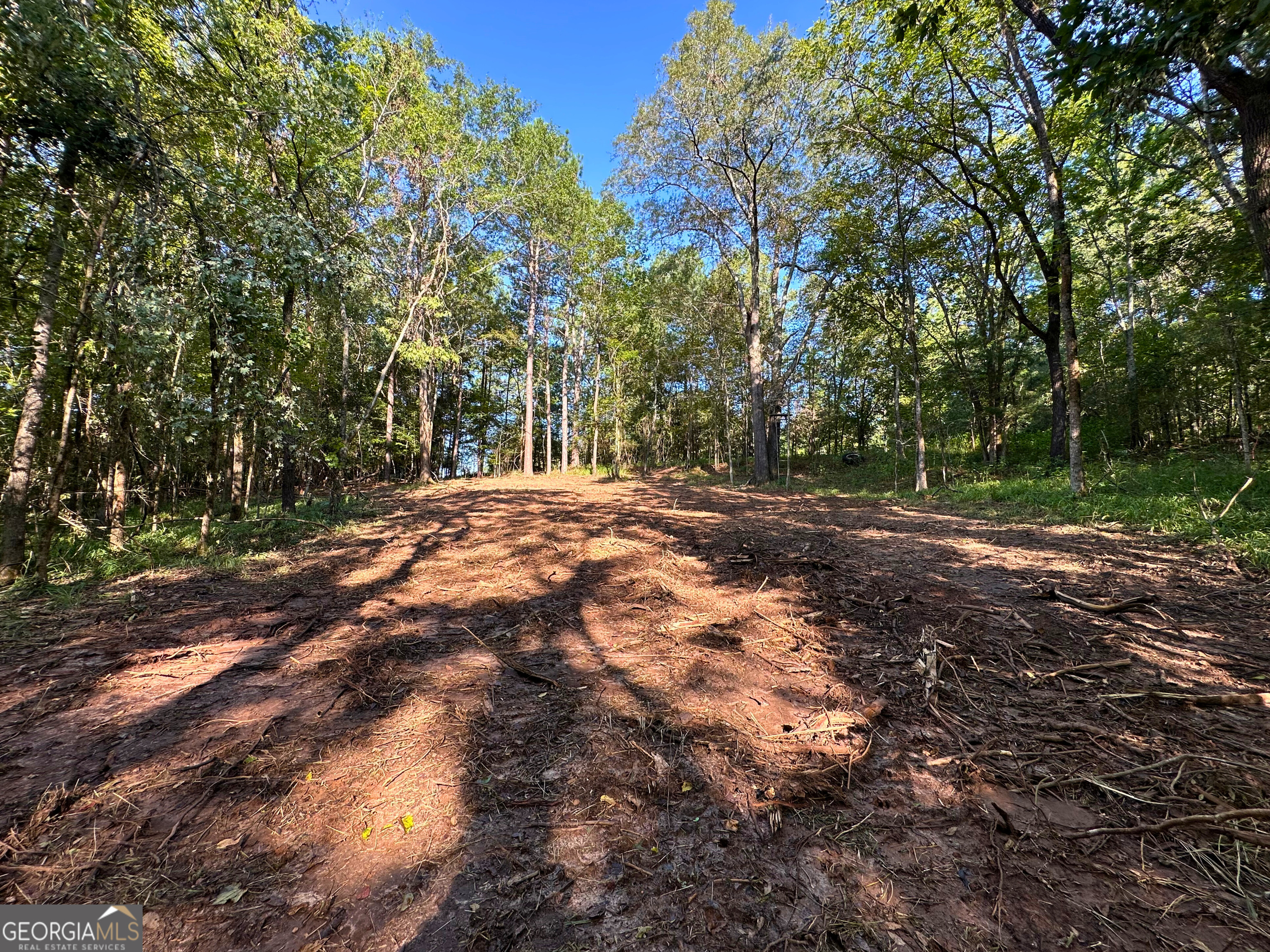 119 Hough Johnson Road Haddock, GA 31033 - Photo 4 of 12 More angles of the cleared land