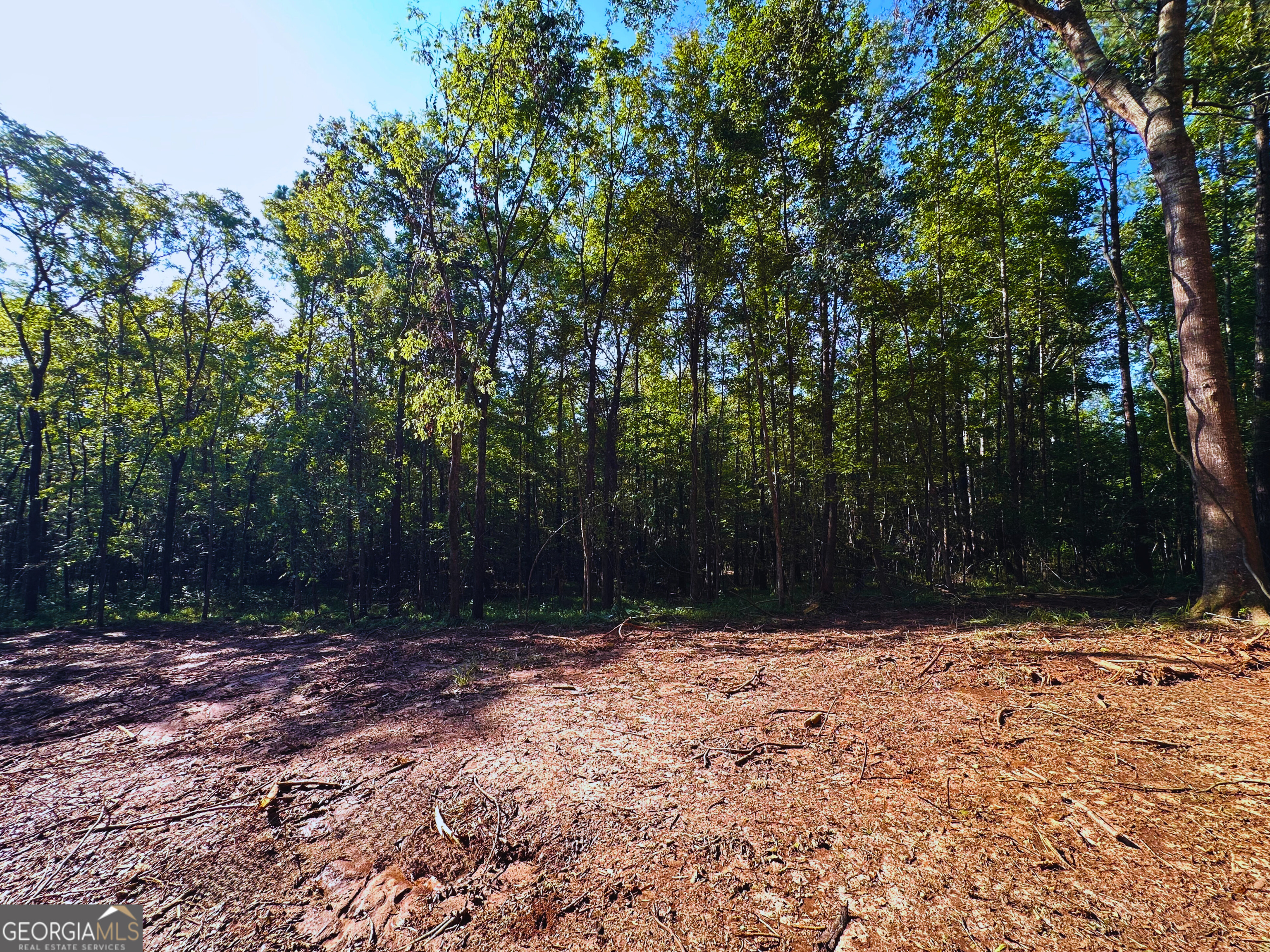 119 Hough Johnson Road Haddock, GA 31033 - Photo 5 of 12