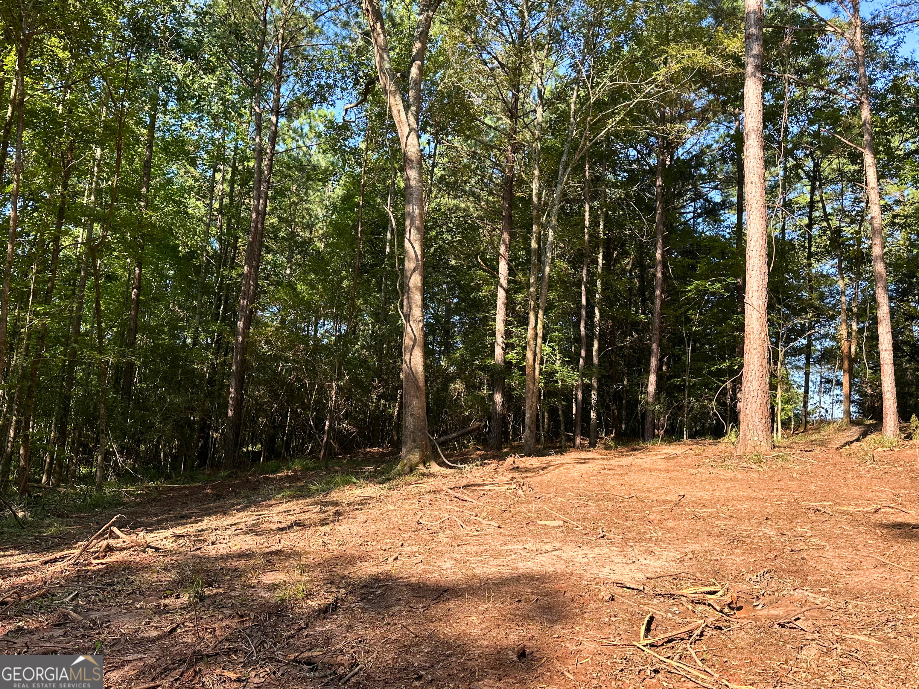 119 Hough Johnson Road Haddock, GA 31033 - Photo 7 of 12 Here is the entrance to the cleared land