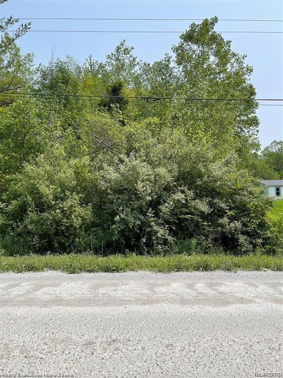 0 Rabidue Road North Street, MI 48049 - Photo 5 of 6