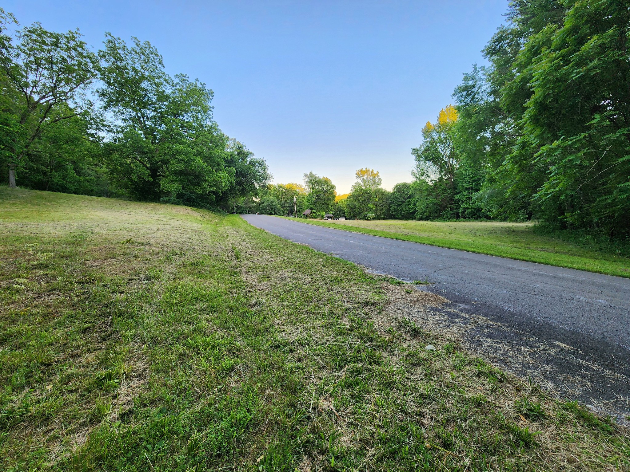 9558 Mt Carmel Road Decaturville, TN 38329 - Photo 13 of 24 a view of a field with trees in the background