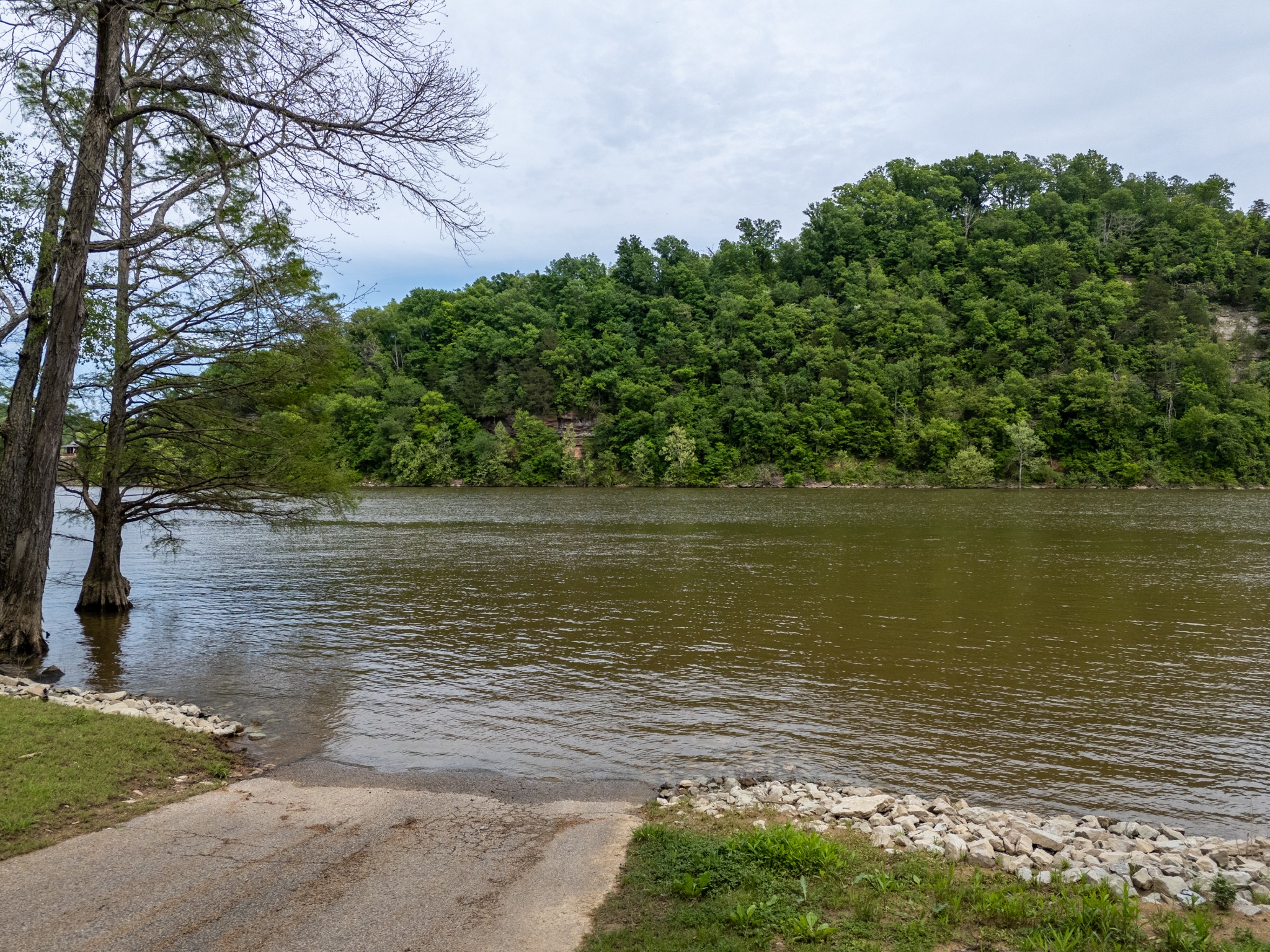 9558 Mt Carmel Road Decaturville, TN 38329 - Photo 24 of 24 a view of a lake view