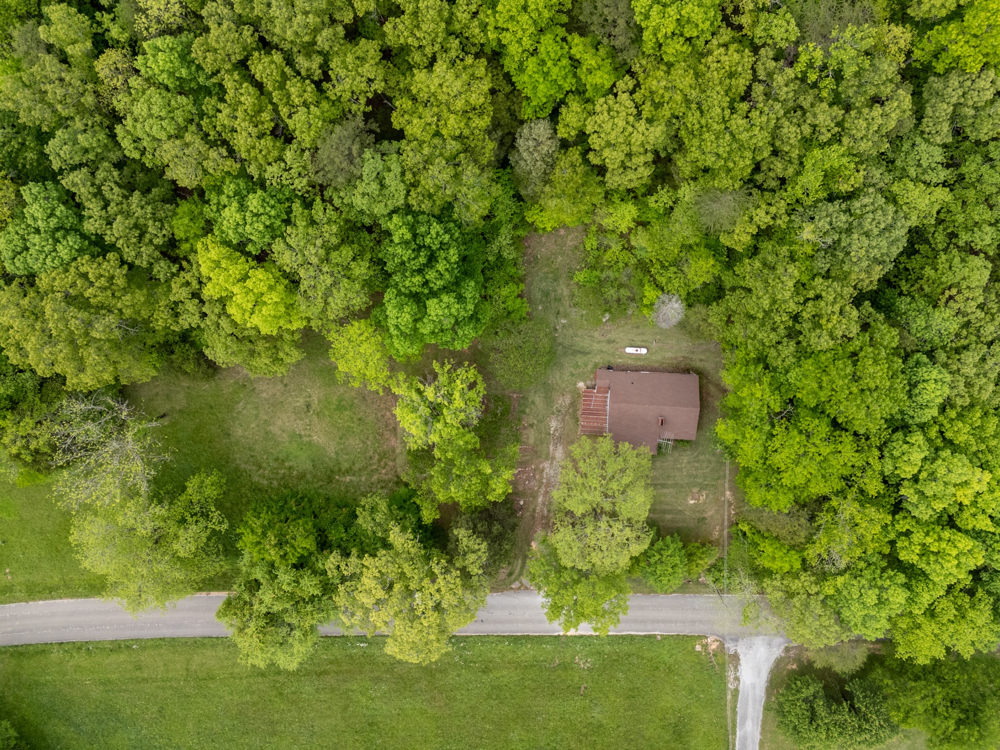 9558 Mt Carmel Road Decaturville, TN 38329 - Photo 3 of 24 a view of a garden