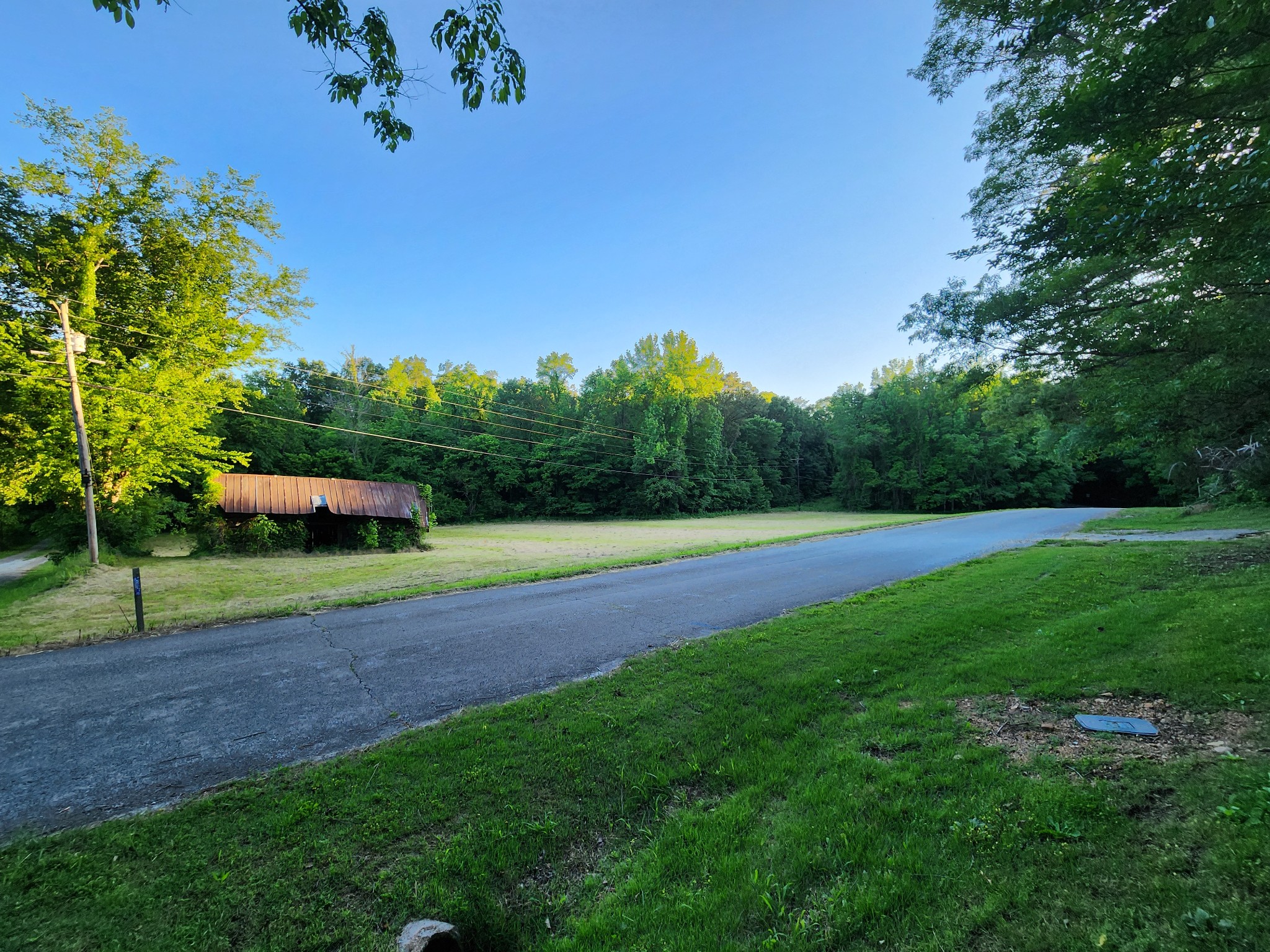 9558 Mt Carmel Road Decaturville, TN 38329 - Photo 5 of 24 a view of a garden with trees