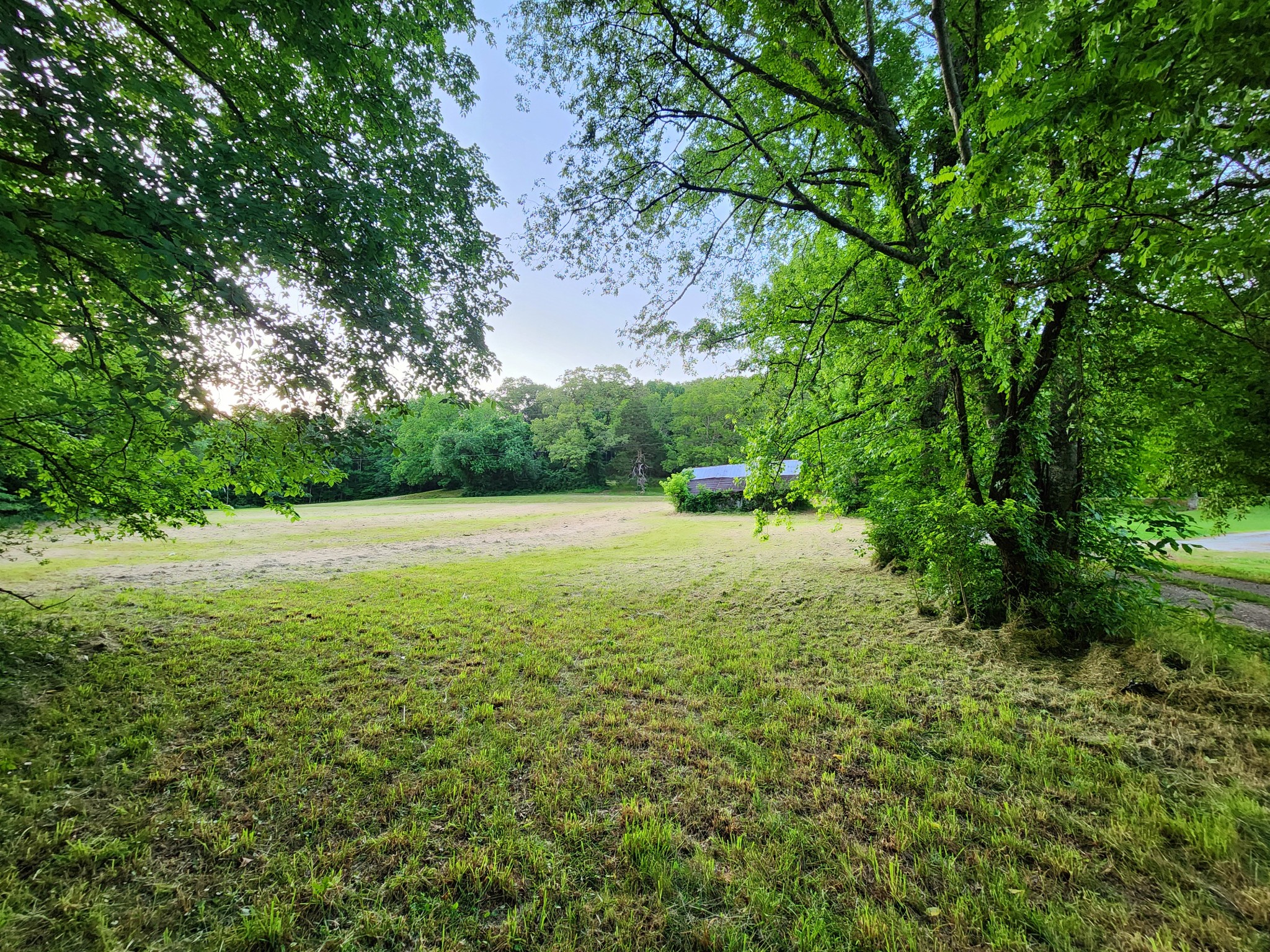 9558 Mt Carmel Road Decaturville, TN 38329 - Photo 8 of 24 a view of yard with green space
