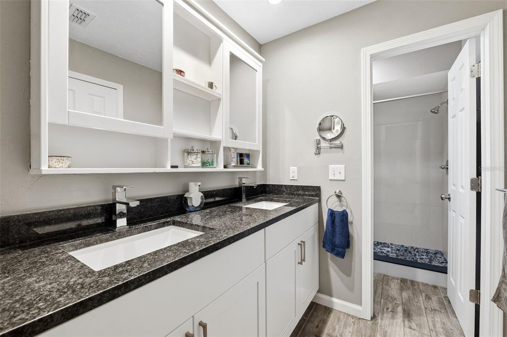 12210 State Street Tampa, FL 33635 - Photo 23 of 41 a bathroom with a granite countertop sink and a mirror