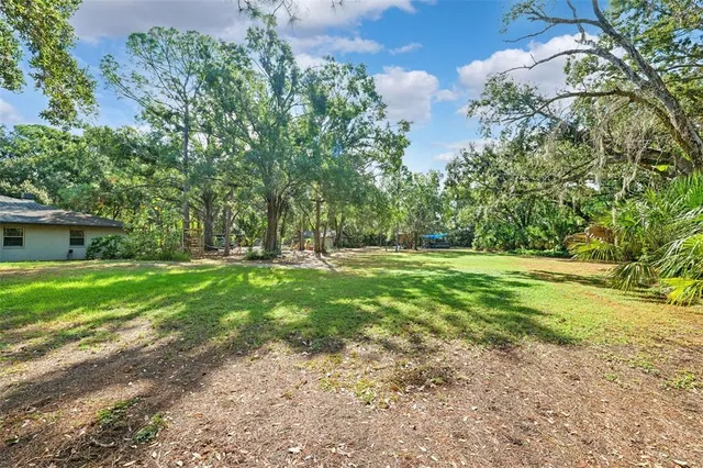 a view of garden with trees