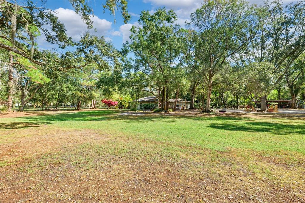 12210 State Street Tampa, FL 33635 - Photo 36 of 41 a view of garden with trees