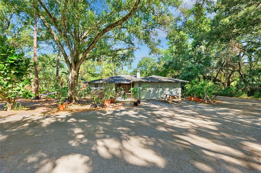 12210 State Street Tampa, FL 33635 - Photo 37 of 41 a view of a outdoor space
