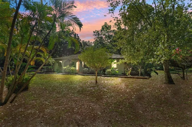 a view of a yard with a tree