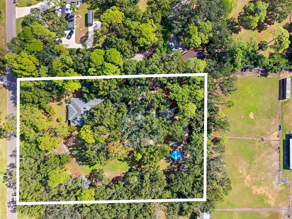 12210 State Street Tampa, FL 33635 - Photo 41 of 41