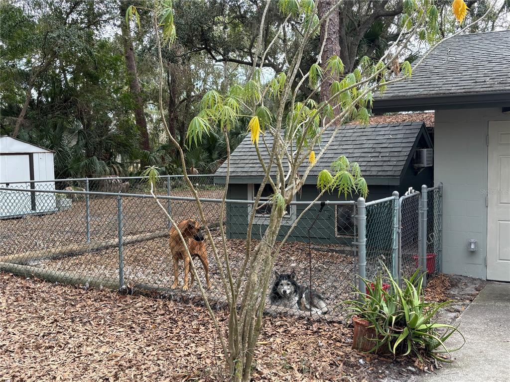 12210 State Street Tampa, FL 33635 - Photo 43 of 45