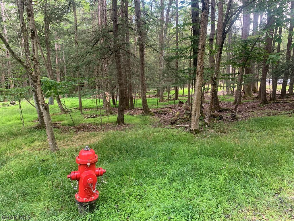 375 Kibler Lake Road Flinton, PA 16640 - Photo 5 of 18 a fire hydrant in the middle of a field