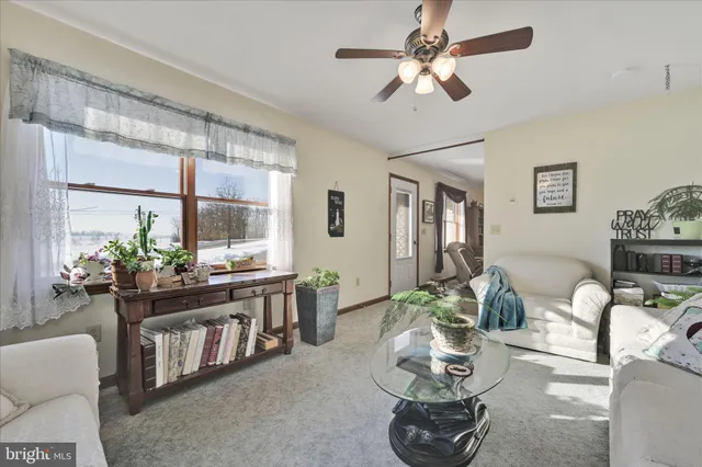 a living room with furniture ceiling fan and a rug