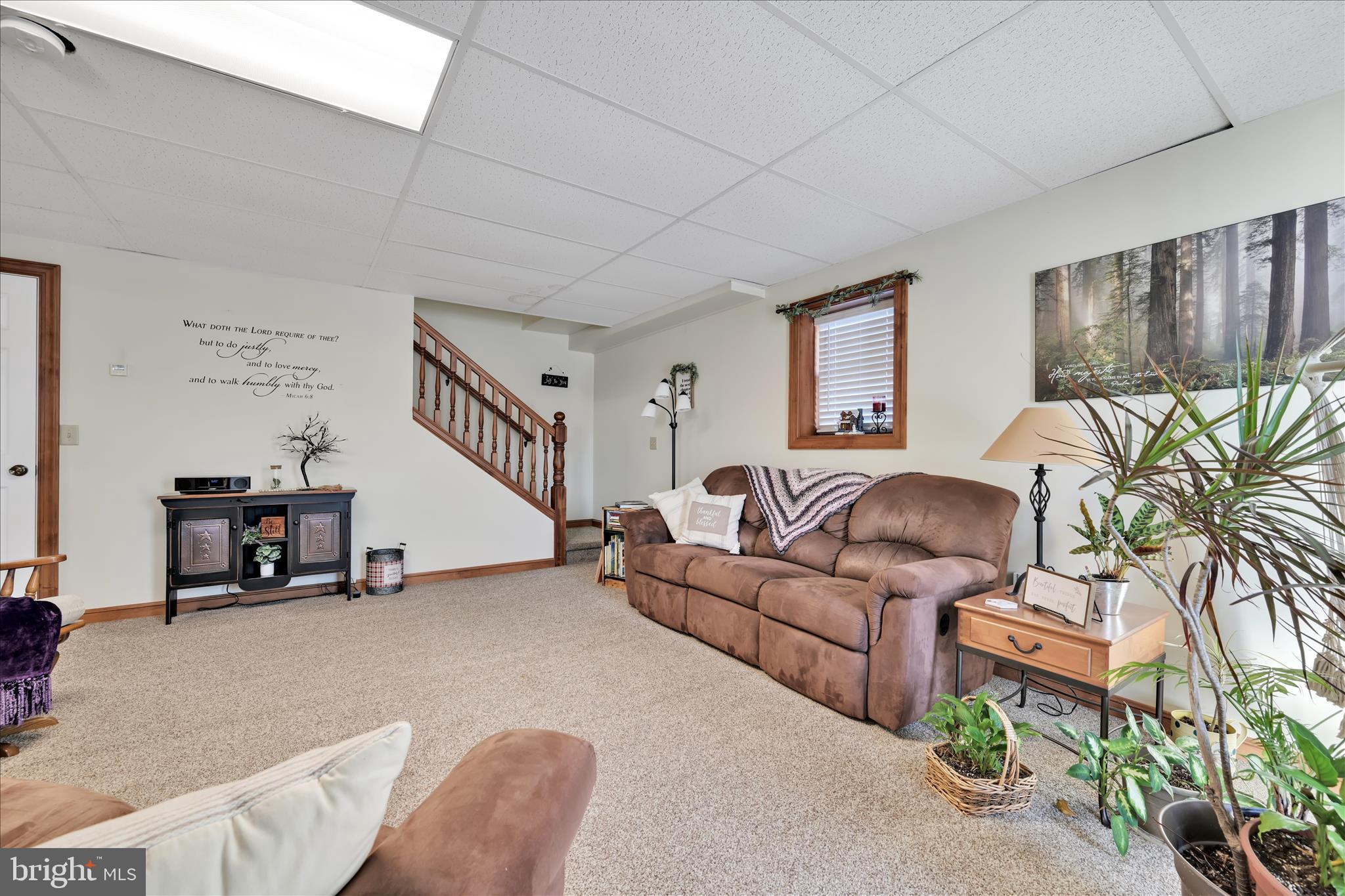 36 Host Road Womelsdorf, PA 19567 - Photo 34 of 78 a living room with furniture and a potted plant