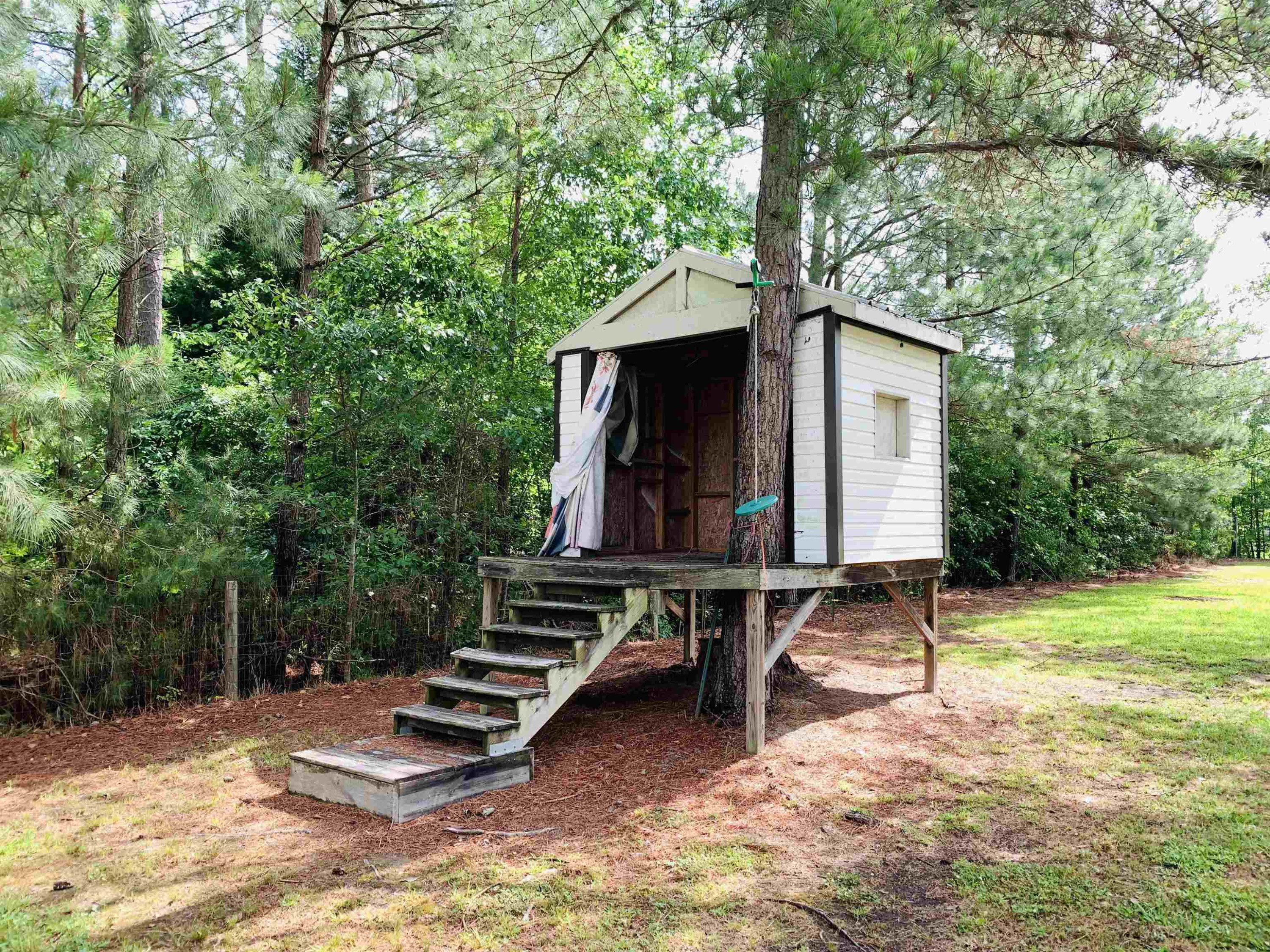 313 Gor An Farm Road Selma, NC 27576 - Photo 44 of 46 Photo 44