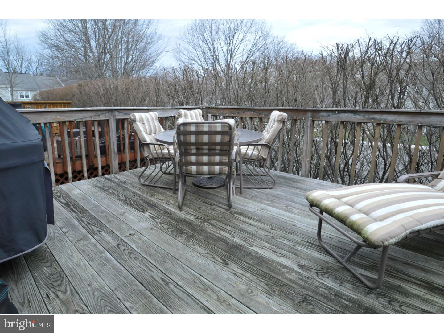 803 Spice Bush Ambler, PA 19002 - Photo 23 of 23 Deck