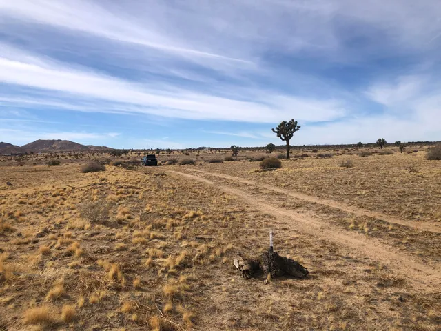 $13,900 | 0 South 218th Street, Lancaster, CA 93535