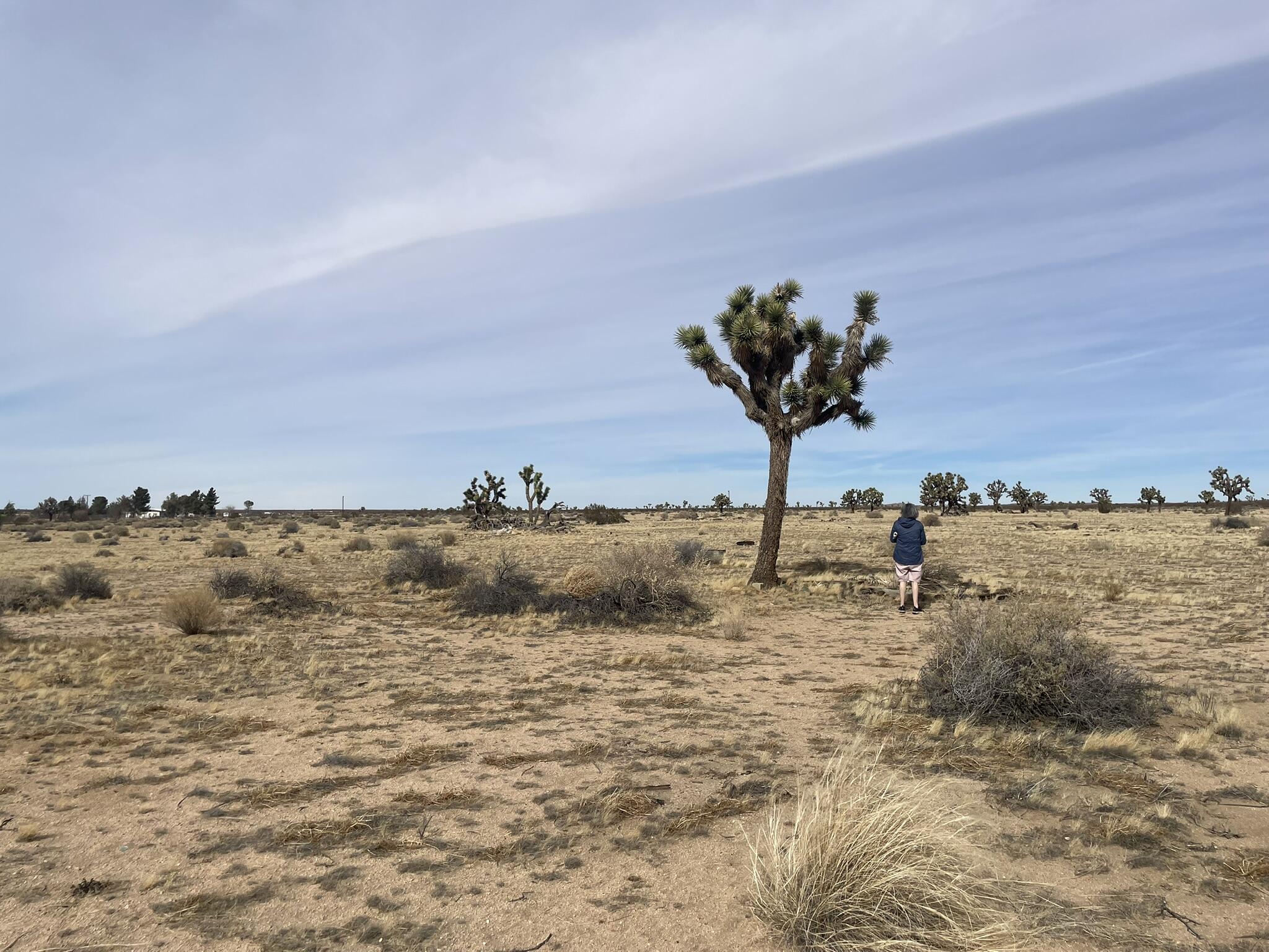 0 South 218th Street Lancaster, CA 93535 - Photo 3 of 12 IMG_6407