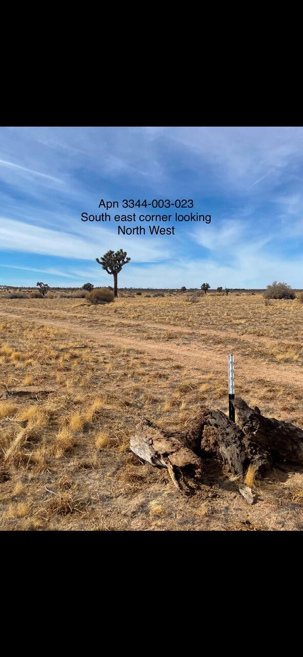 0 South 218th Street Lancaster, CA 93535 - Photo 7 of 12 IMG_6667