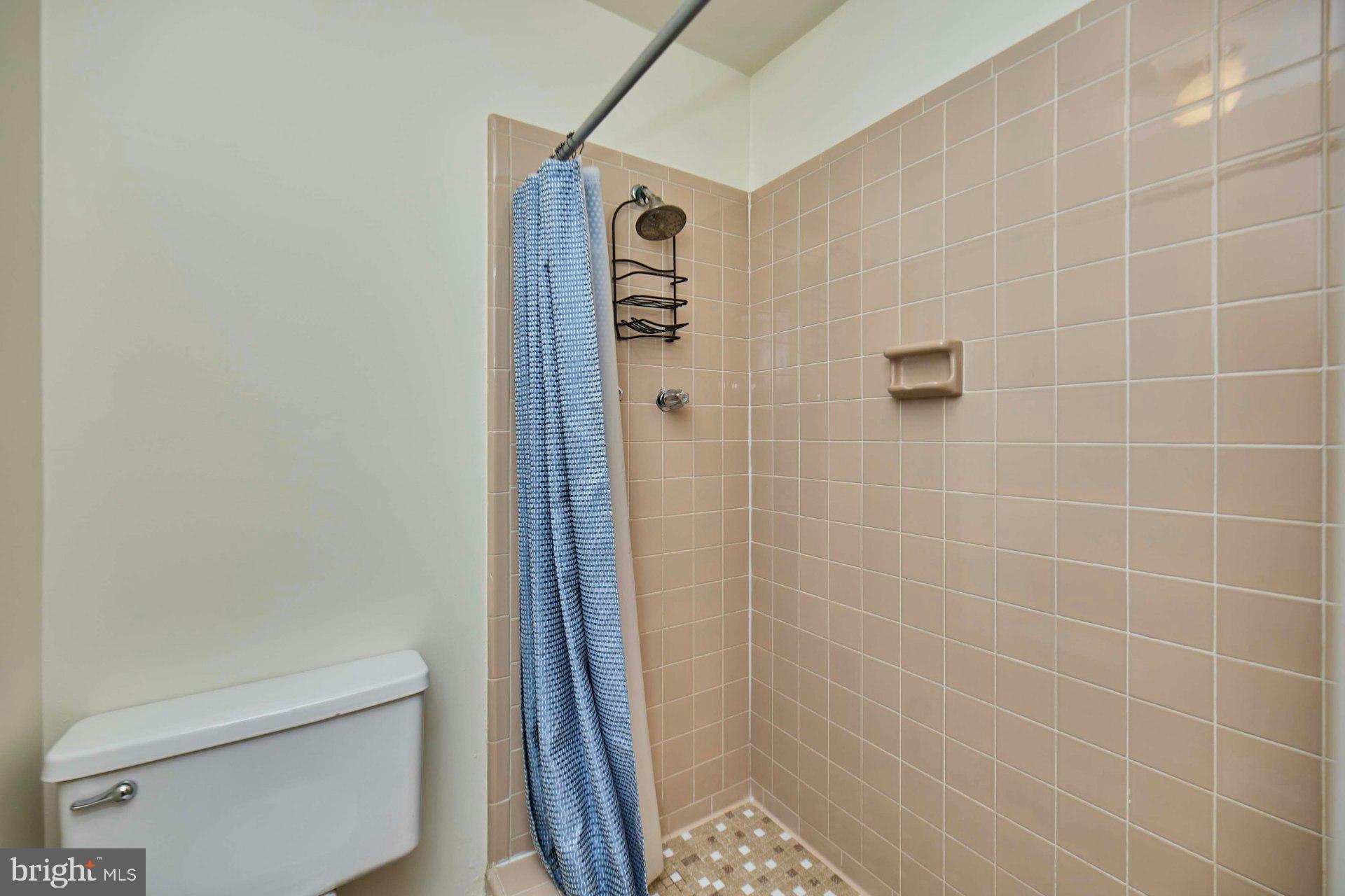 8566 Gwynedd Way Springfield, VA 22153 - Photo 21 of 61 a bathroom with a shower