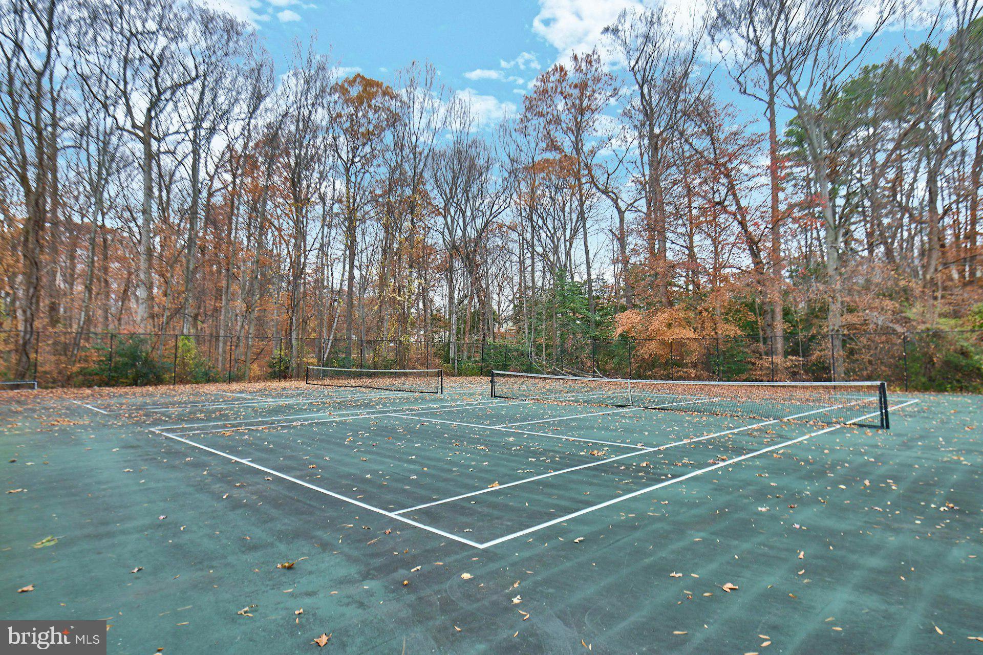 8566 Gwynedd Way Springfield, VA 22153 - Photo 57 of 61 a view of tennis court