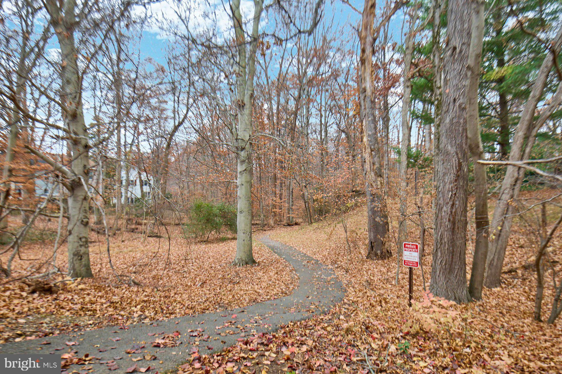 8566 Gwynedd Way Springfield, VA 22153 - Photo 58 of 61 a backyard of a house with lots of green space
