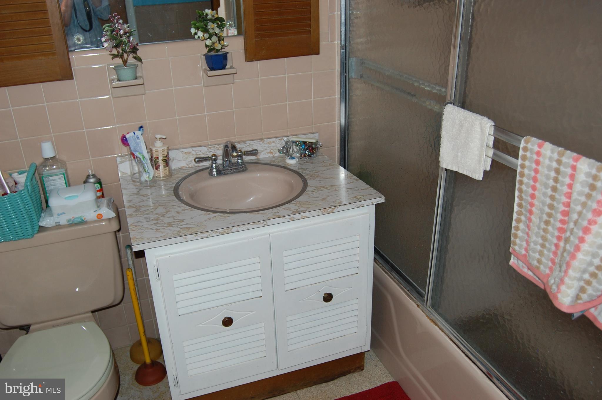8900 Adelphi Road Adelphi, MD 20783 - Photo 11 of 23 Basement bathroom