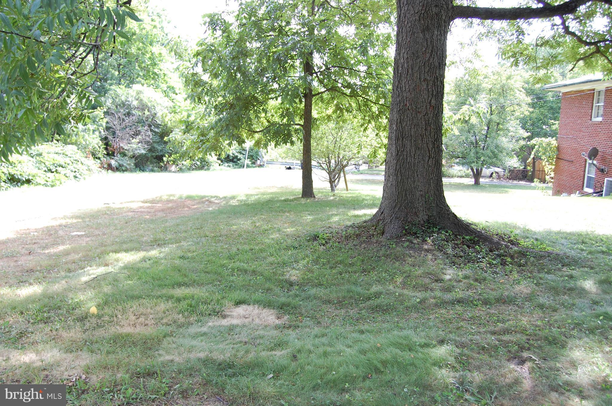 8900 Adelphi Road Adelphi, MD 20783 - Photo 22 of 23 Possible building lot