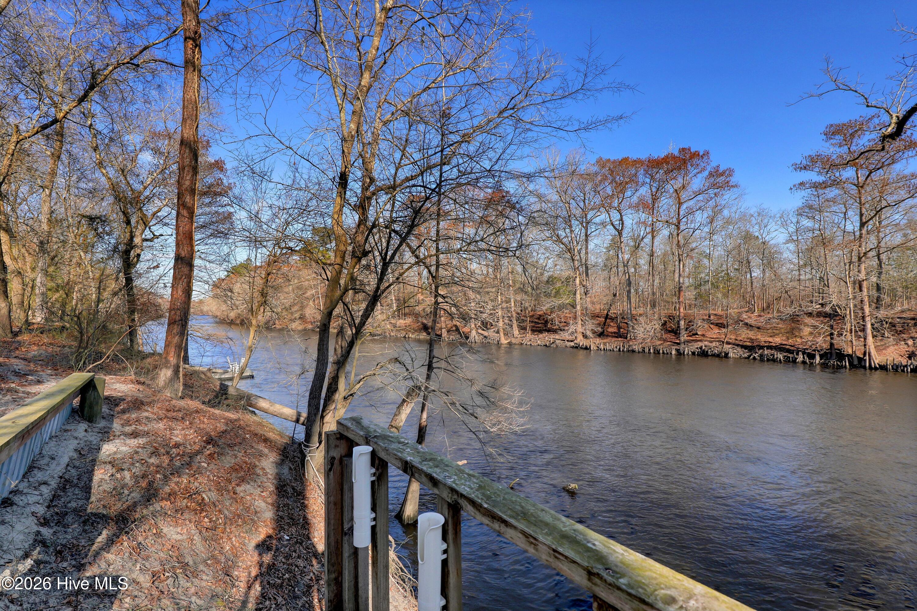 Lot 19 Ruddy Duck Lane Willard, NC 28478 - Photo 8 of 34 009_6g8a1527_473