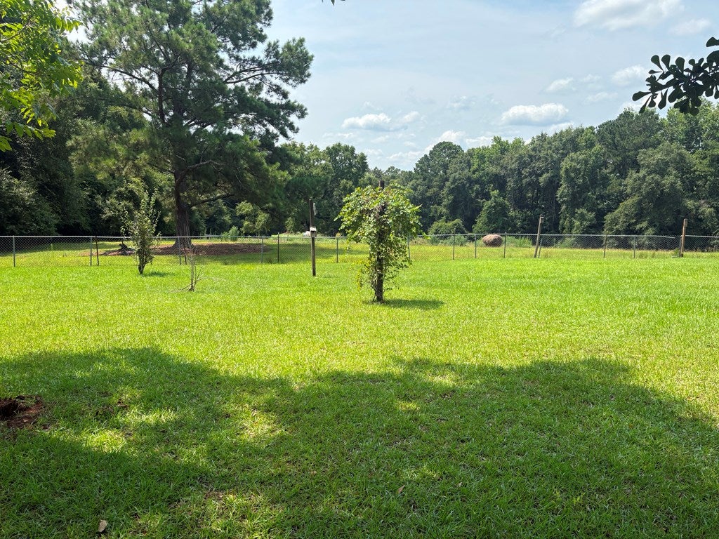 2653 Judge Logue Road Newton, AL 36352 - Photo 14 of 14 Gallery Image 14