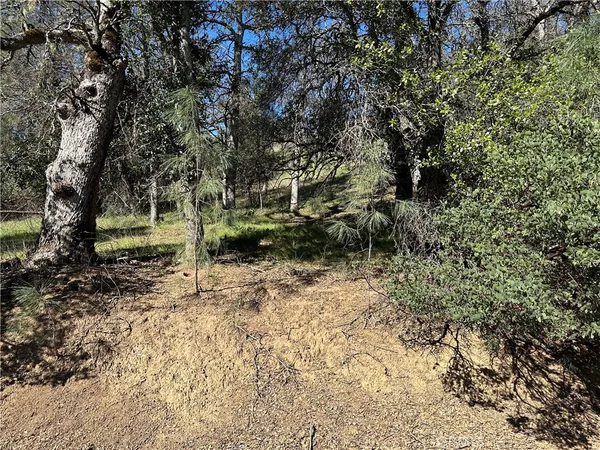 $20,000 | 17509 Cache Creek Road, Clearlake Oaks, CA 95423
