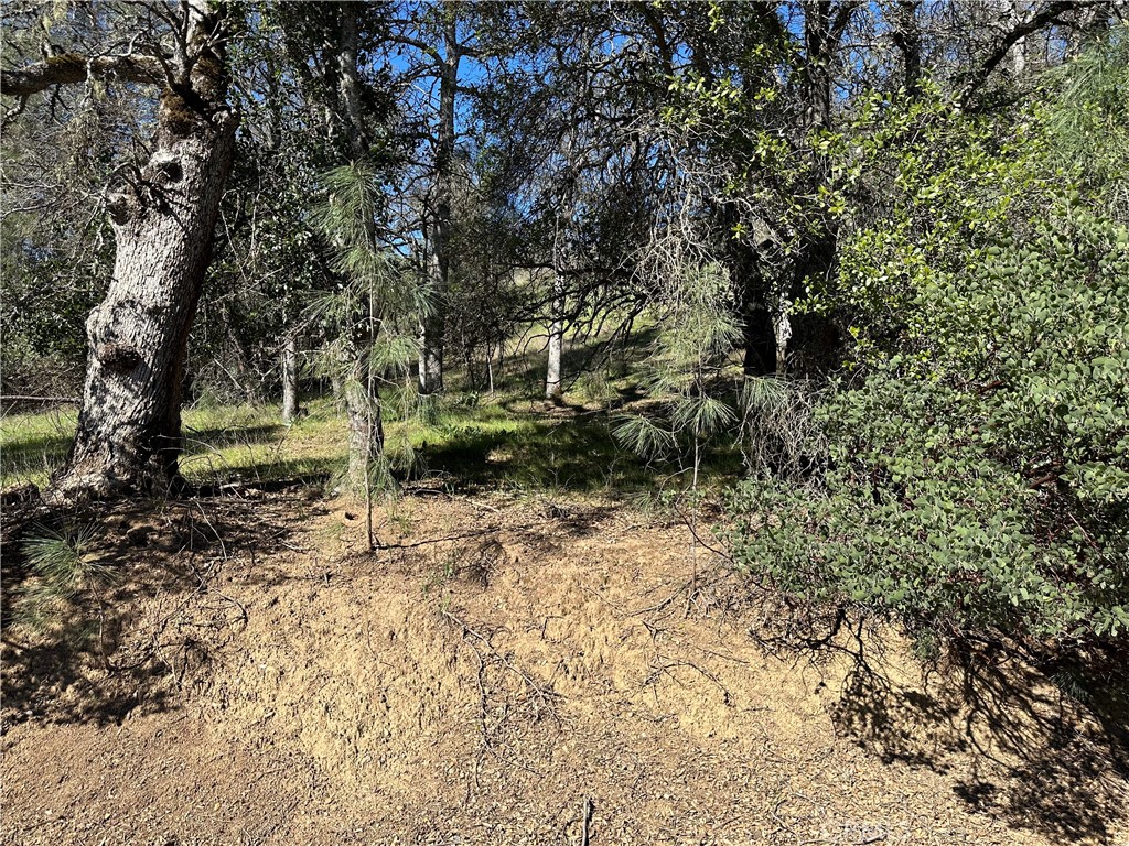 17509 Cache Creek Road Clearlake Oaks, CA 95423 - Photo 2 of 3