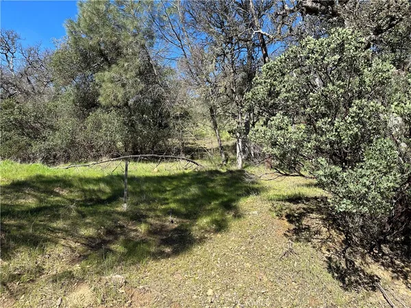 $20,000 | 17509 Cache Creek Road, Clearlake Oaks, CA 95423
