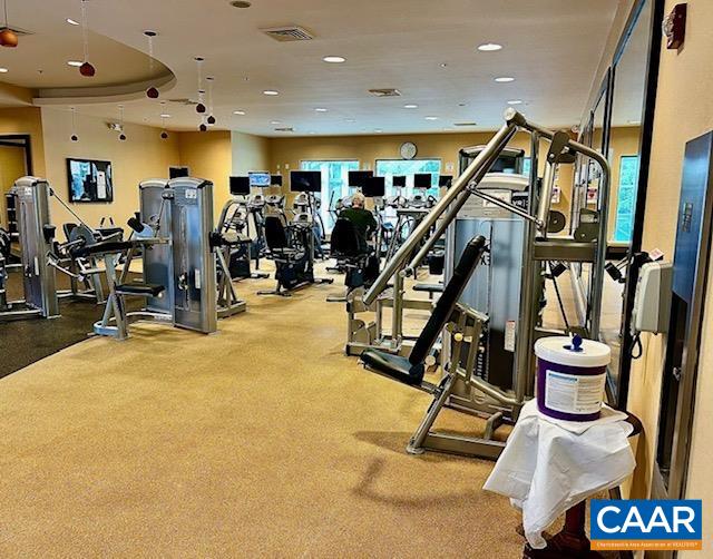 124 Stodghill Drive Ruckersville, VA 22968 - Photo 56 of 58 a view of a room with gym equipment