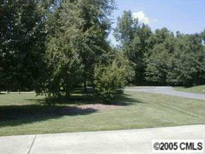223 Campsite Road Rock Hill, SC 29732 - Photo 4 of 6 a view of a yard